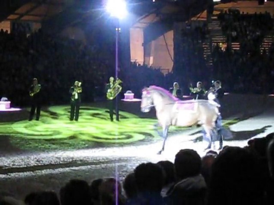 cadre noir de saumur à Strasbourg : improvisation