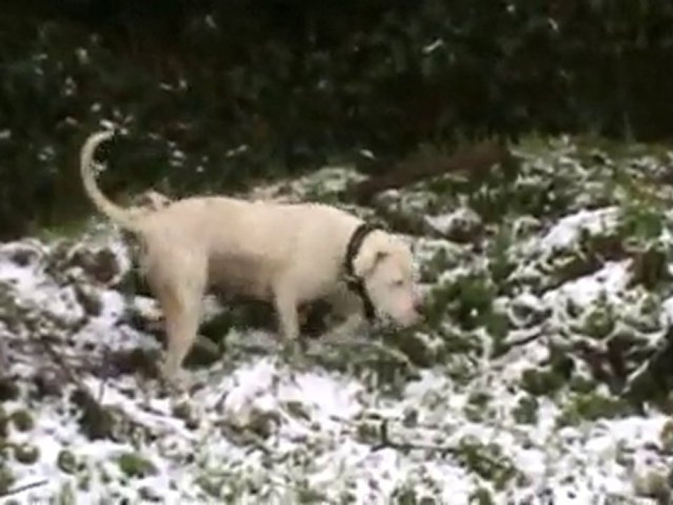 Balade sur la neige dans les montagnes noires