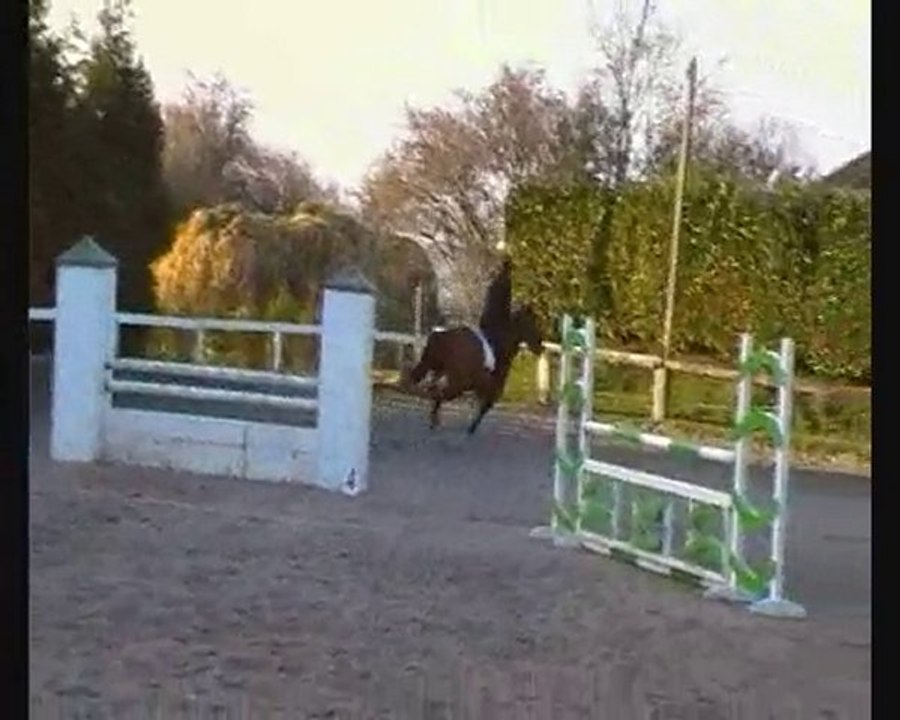 sainte russie - jument SFA qui prend 5 and