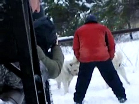 Сен Сао Мурат(Воронеж)-Бахмал(Ростов,вл.Федякин С.)