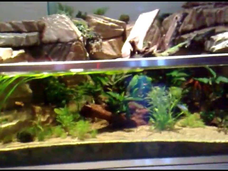 AquaCascade leveau novembre 2010