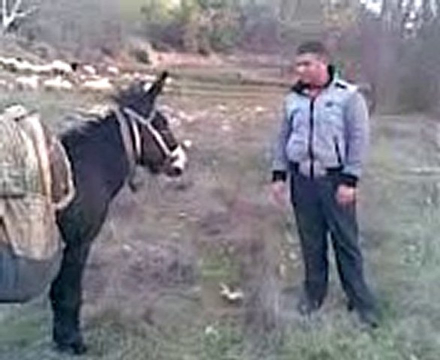 AĞAOĞLUX01 YAPIM SUNAR