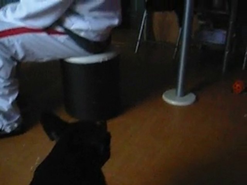 Fergie et yoda avec les saussises