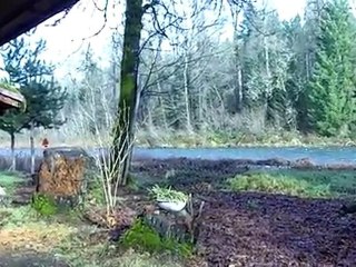 Molalla Riverfront Homes | Molalla River homes