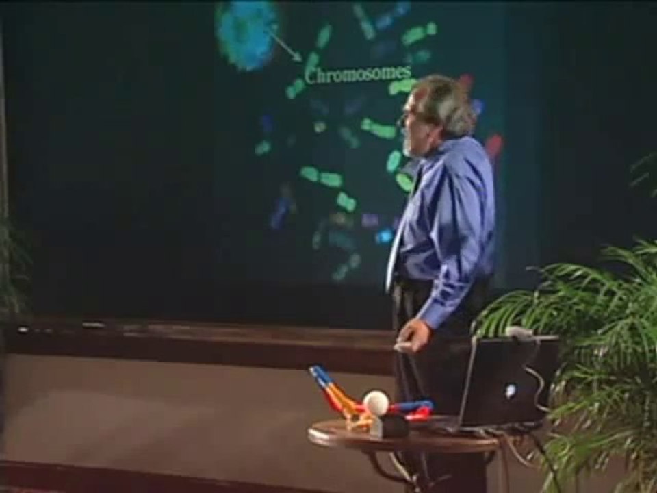 Wie wir werden. was wir sind - bruce lipton 4