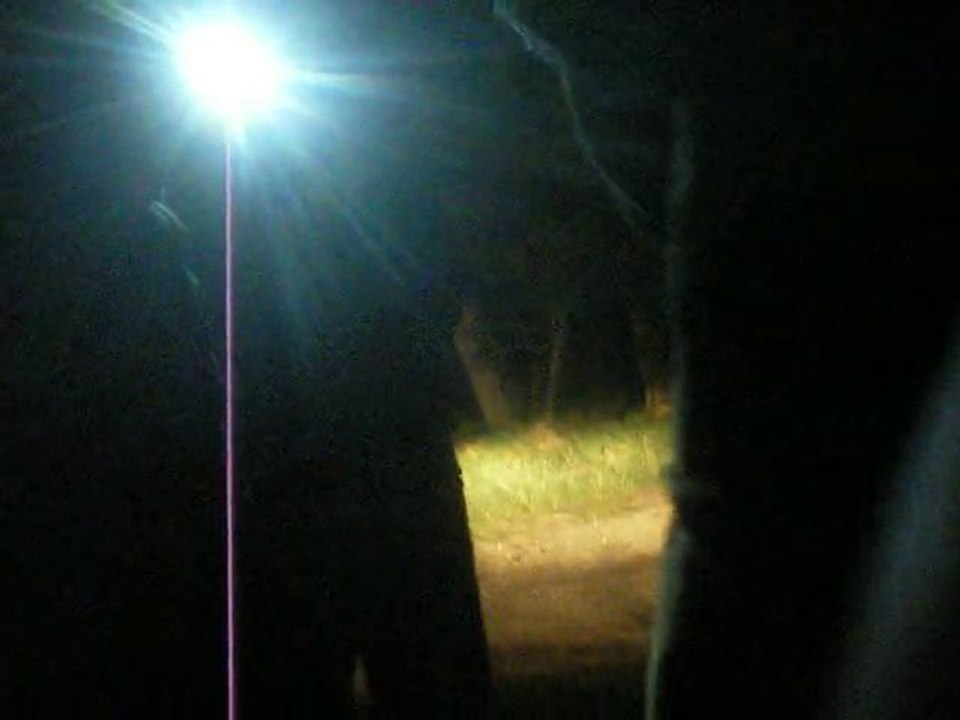 IMGP1331