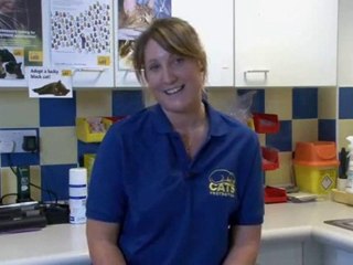 How To Get Rid Of Cat Dandruff