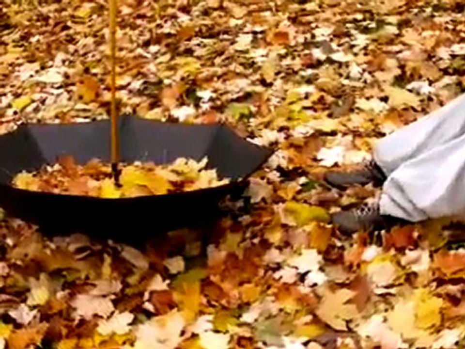 ZERRİN ÖZER-KAR TANESİ