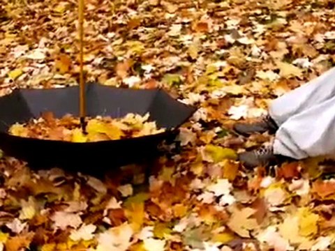 ZERRİN ÖZER-KAR TANESİ