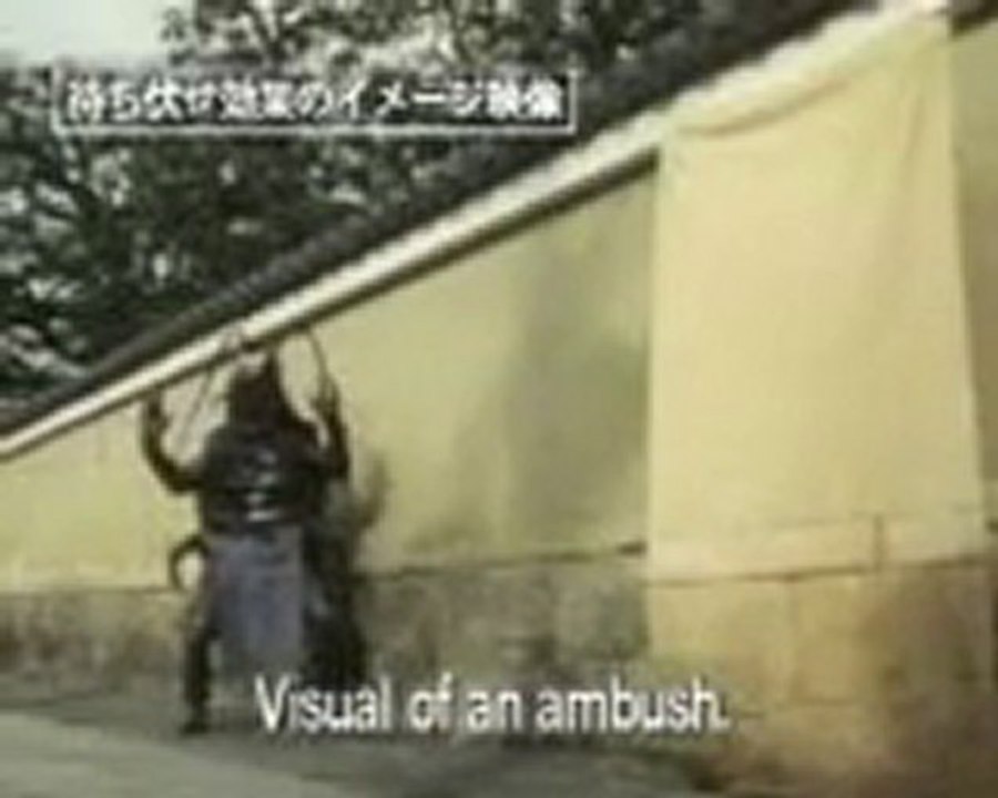 samurai contre cafard