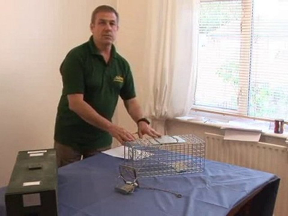 How To Get Rid Of Squirrels