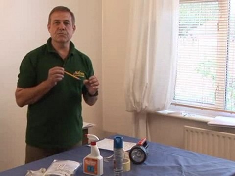 How To Get Rid Of Bed Bugs