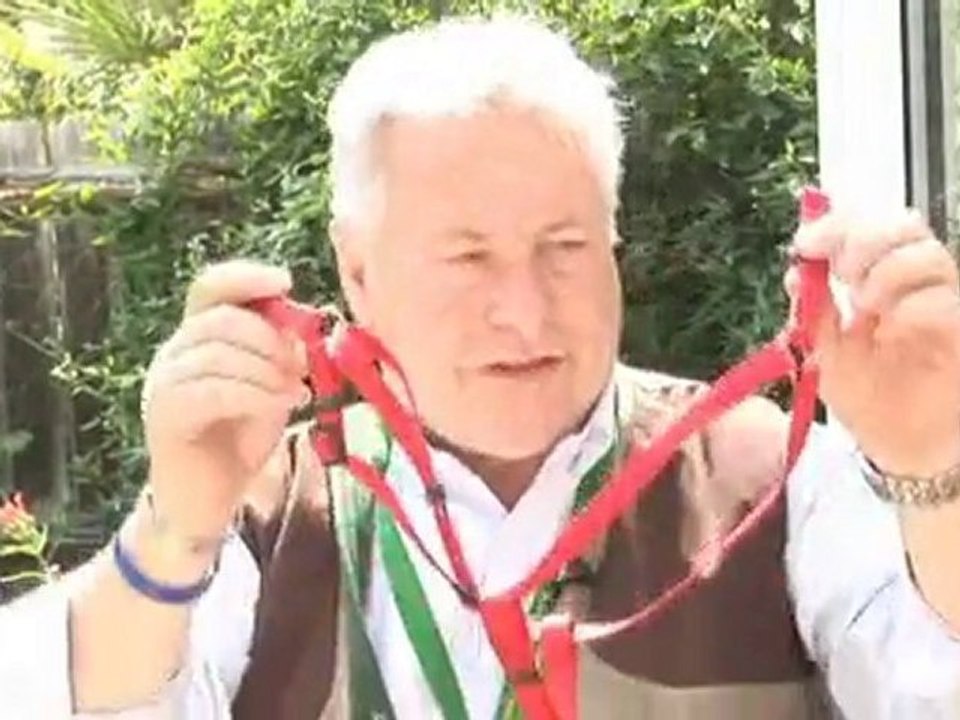 How To Put On A Dog Harness video Dailymotion