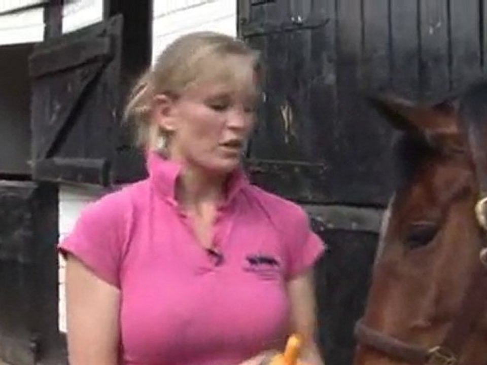How To Care For A Horse: Trimming And Footcare