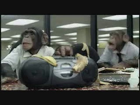 0033 - Les traders sont des singes