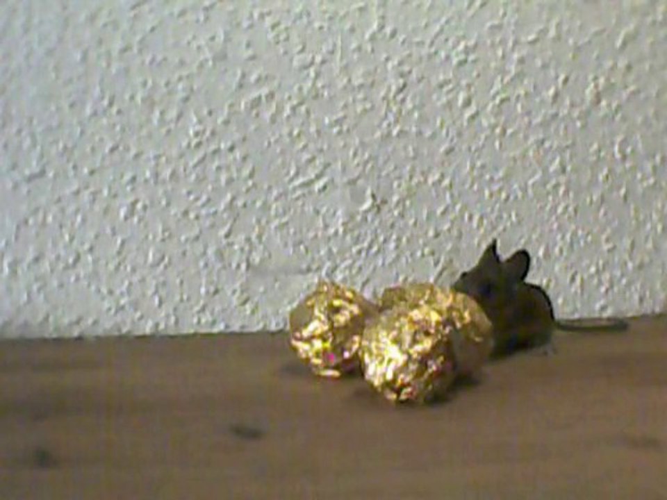 Speedy ferrero - the extasy of gold