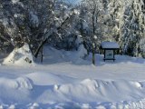 LES HAUTES VOSGES EN HIVER