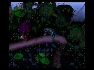 DKC Pacifism: Ropey Rampage