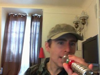 Wiwi égratigne "à dada"