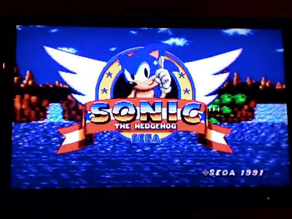 Vidéo spéciale fin d'année 2010 première partie : Sonic 1