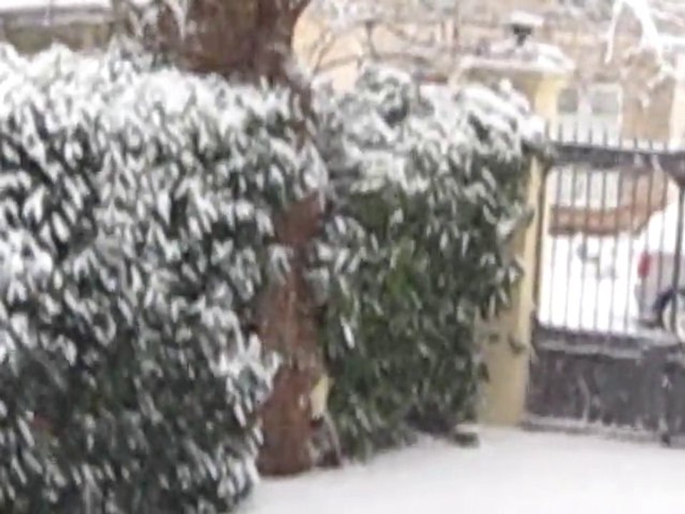 neige decembre 2010 001