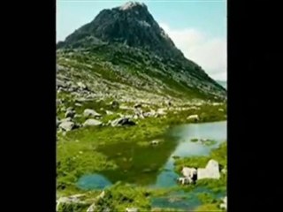 MURAT ODUNCU''HATTAB''..KARDELEN..