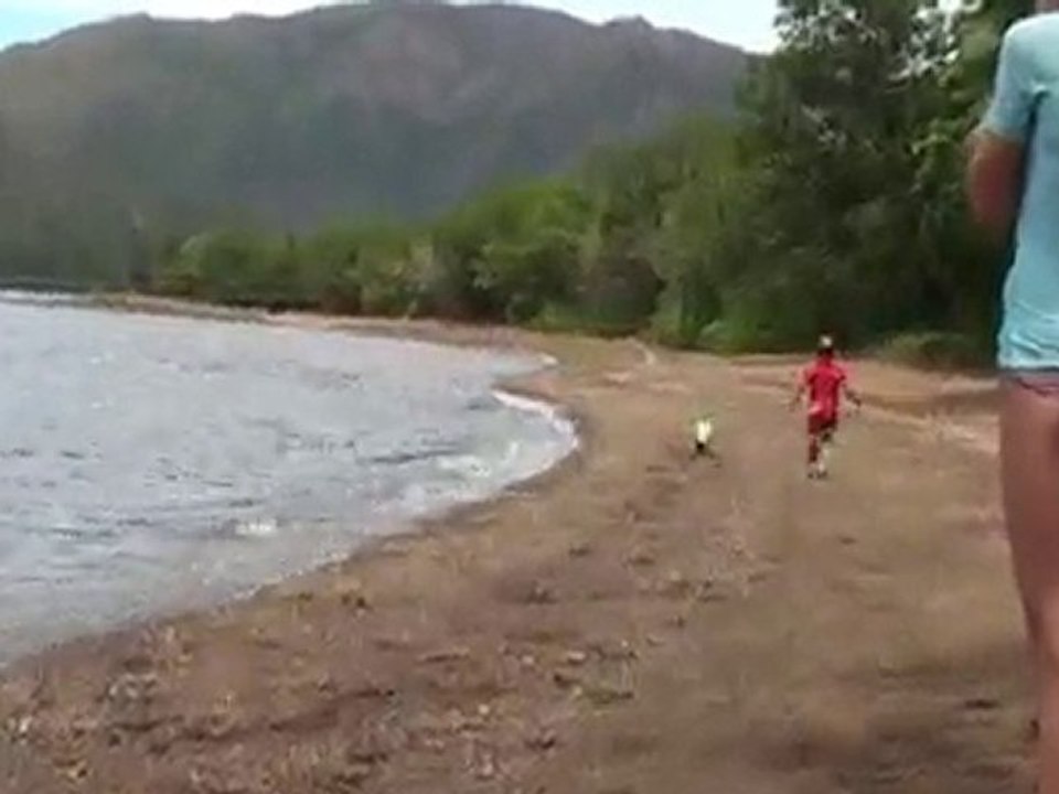 Aquathlon Plum DVD HD