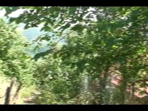 PİRİ KÖYÜ SAYDAŞ MAHALLESİ