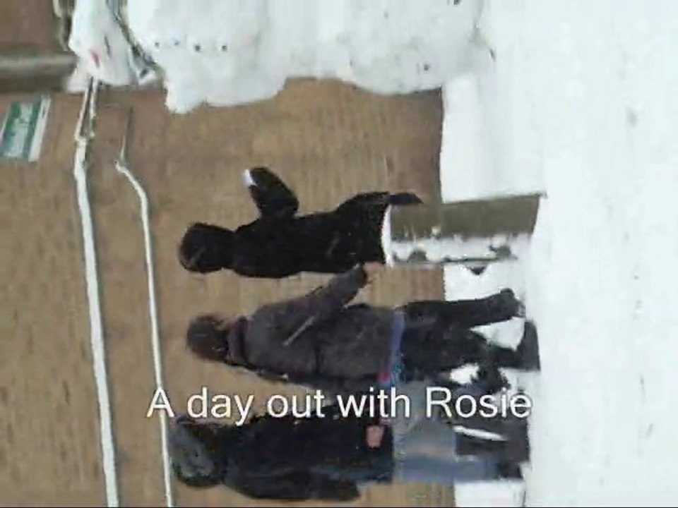 A day out with Rosie