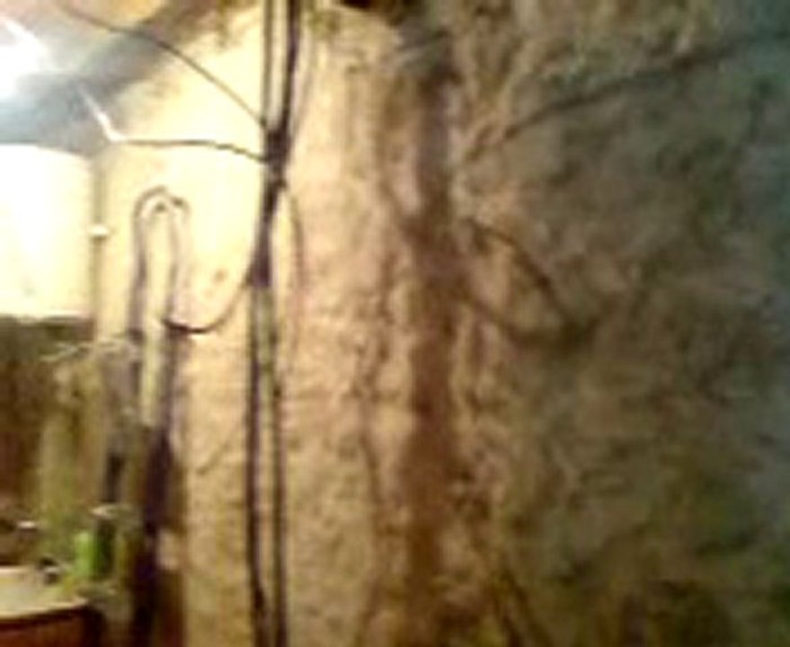 pose plafond du salon, salle a manger, cuisine, salle de bain wc, le 01/07/2011