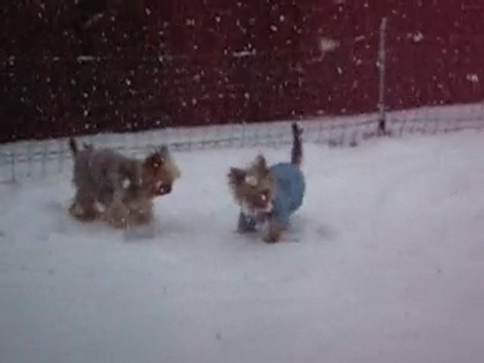 Encore de la neige !