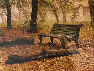 ALEM (DM) - Noktayı koy