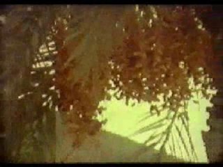 حياة البابا كيرلس  magdy-f