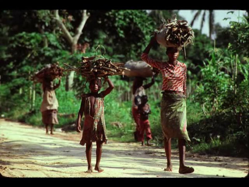 Chanson sans frontieres new