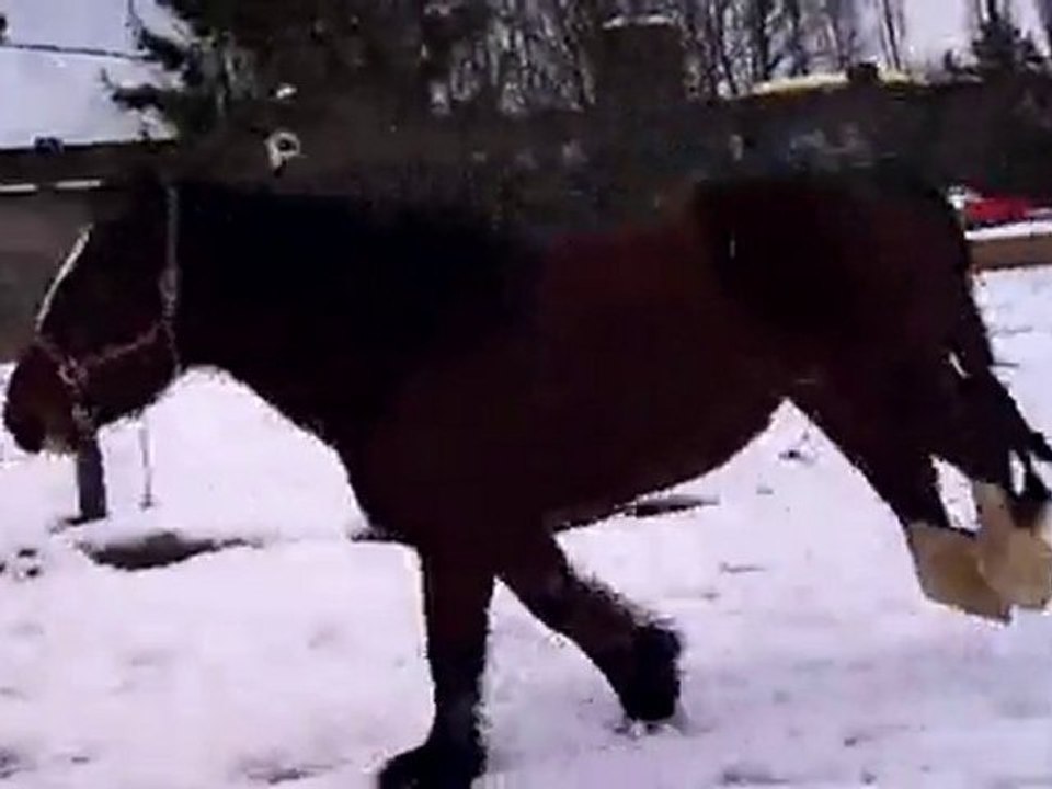 Feeringa et la neige