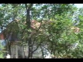 PİRİ KÖYÜ SAYDAŞ MAHALLESİ