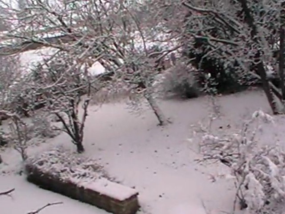 jardin sous la neige