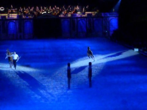 Cadre noir de Saumur a Strasbourg