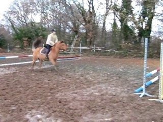 Paulo à l'obstacle - 90cm