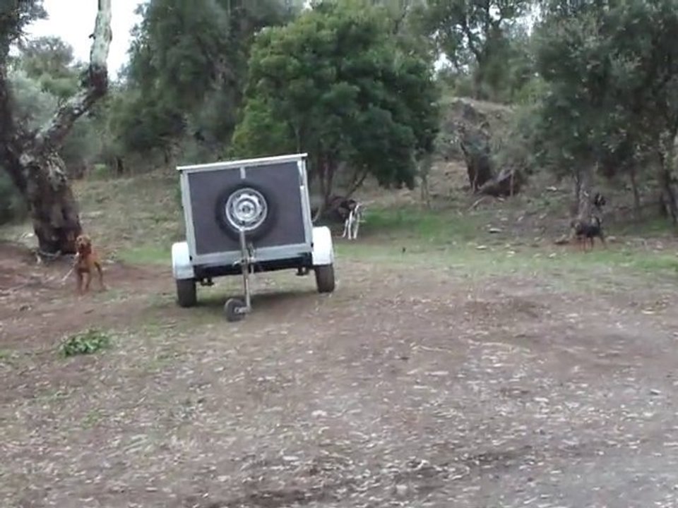12 19 La chasse dans le Var