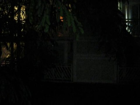 Le bruit des grenouilles et criquets en Guadeloupe