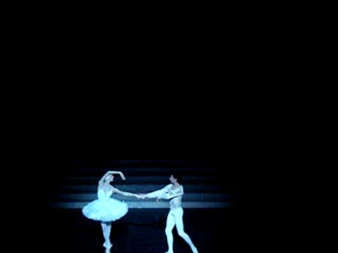 Le Lac des Cygnes 18 déc 2010