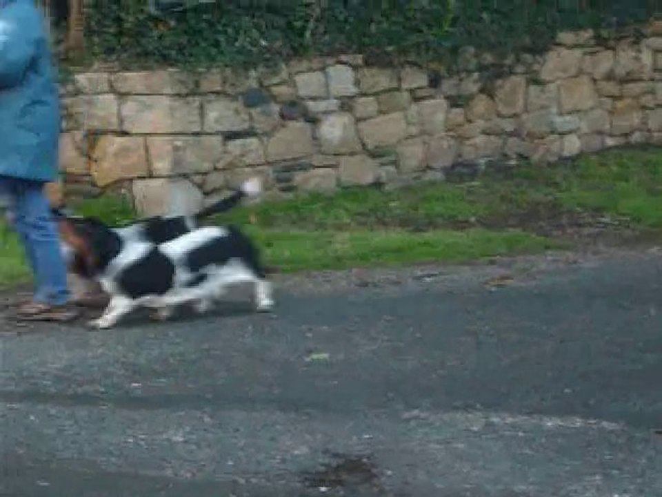 Fantômas, ma nouvelle vie