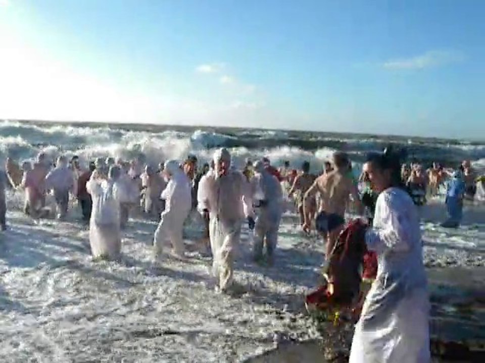 BAIGNADE DES OTARIES St Gildas de Rhuys 19/12/2010