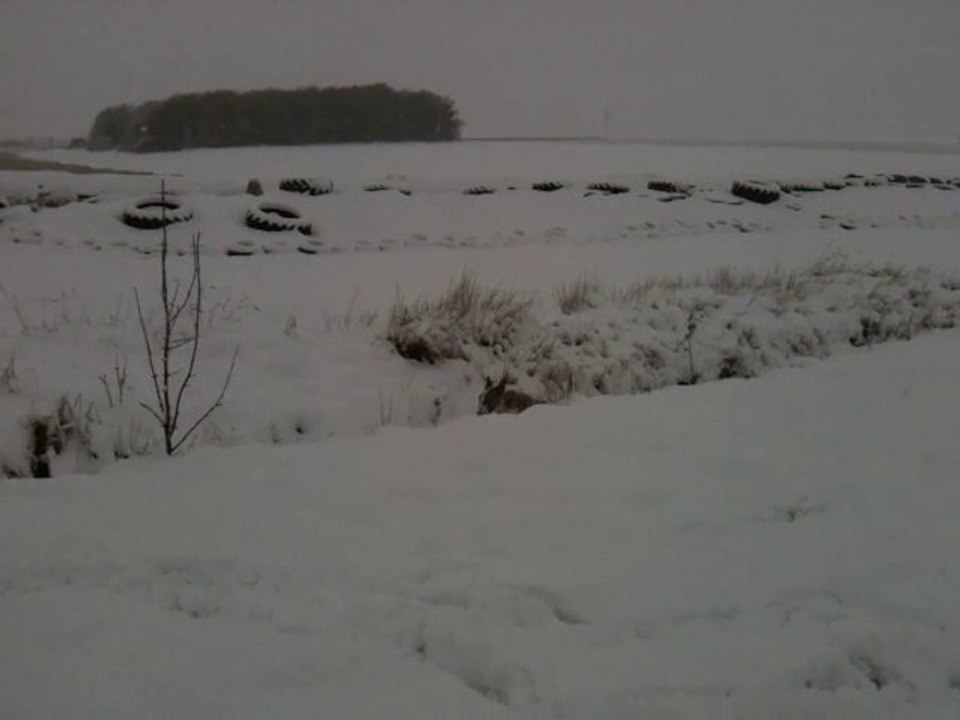 grib et la neige.....