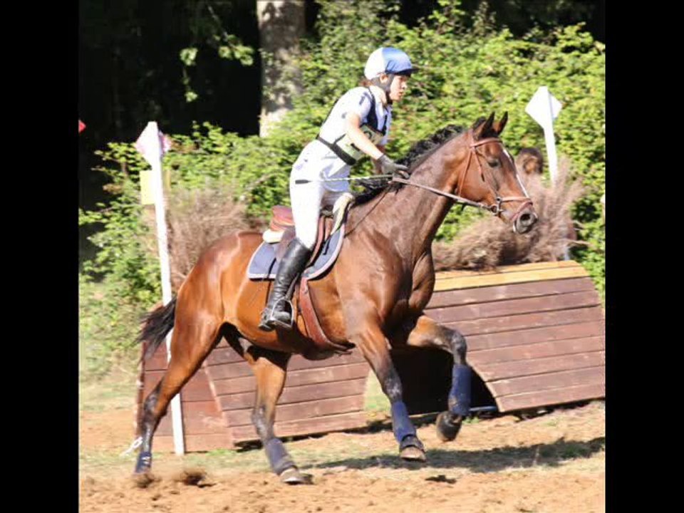 Récapitulatif saison 2010-CCE