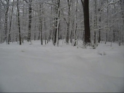 Snowboard forêt de Meudon Paris Clamart décembre 2010