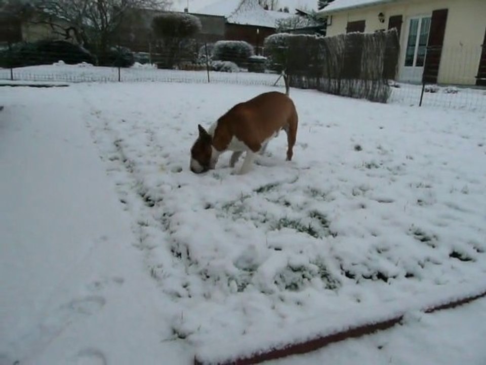 la neige du matin.....