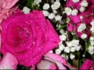 NUREM47EMİNAMIN zeki erdem