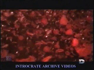 Parasites, Prise d'Otages - 3 de 3